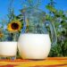 Revolutionizing Argentina’s Dairy Industry: Unlocking Resilience for Maximum Efficiency and Optimization