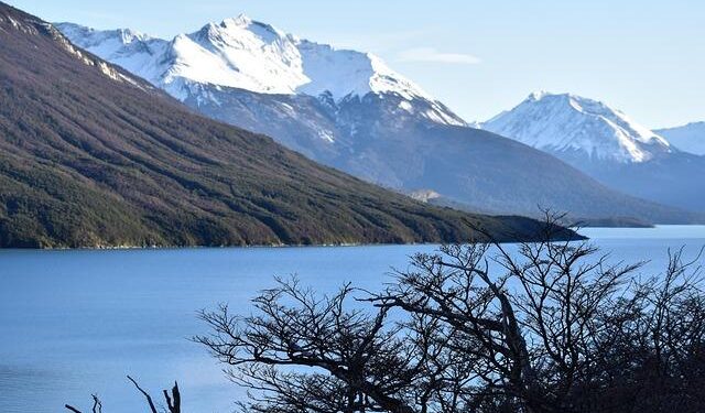 Join the Fight: Help Protect Our Ecosystems from Invasive Argentine Tegus!
