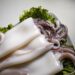 Embark on a Culinary Adventure: Experience the Magic of Top Chef Season 21 Aboard Holland America’s Eurodam!