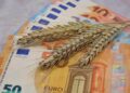 Unraveling the Corn Cost Showdown: A Closer Look at U.S. vs. Brazil Prices
