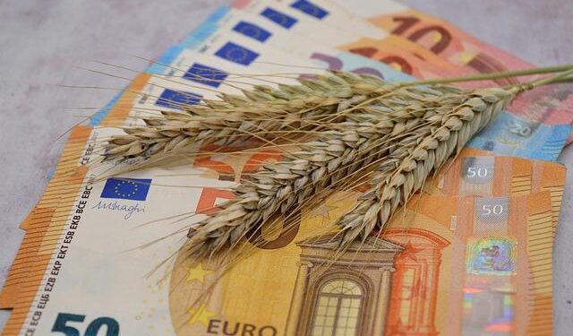 Unraveling the Corn Cost Showdown: A Closer Look at U.S. vs. Brazil Prices