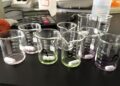 Think Twice: The Hidden Risks Behind the US-Brazil Rare Earths Deal Hype