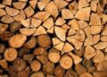 Urgent Warning: Deforestation Surge Poses Grave Danger to Central America’s Largest Biosphere Reserve