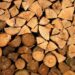 Urgent Warning: Deforestation Surge Poses Grave Danger to Central America’s Largest Biosphere Reserve