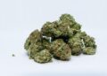 Arkansas Makes Waves: Medical Marijuana Receives Exciting New Classification!