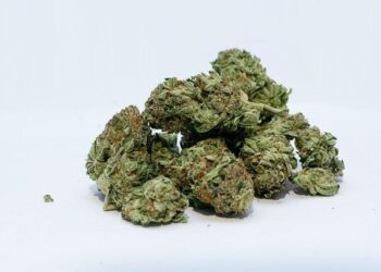 Arkansas Makes Waves: Medical Marijuana Receives Exciting New Classification!