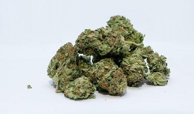 Arkansas Makes Waves: Medical Marijuana Receives Exciting New Classification!