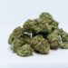 Arkansas Makes Waves: Medical Marijuana Receives Exciting New Classification!