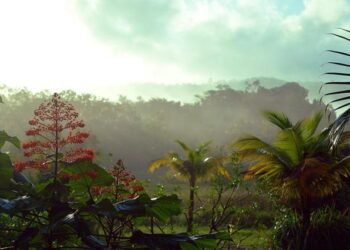 France Puts the Brakes on Offshore Exploration in French Guiana: What’s Next for Shell and Partners?