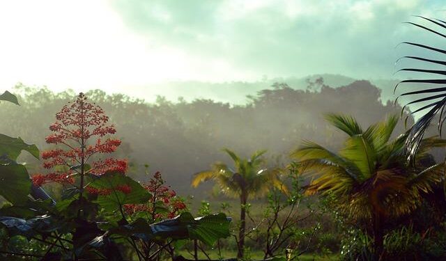 France Puts the Brakes on Offshore Exploration in French Guiana: What’s Next for Shell and Partners?