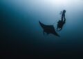 Sparkle Set to Shine: Major Expansion Across the Americas with Exciting Manta-Bolivia Corridor Initiative!