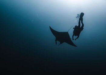 Sparkle Set to Shine: Major Expansion Across the Americas with Exciting Manta-Bolivia Corridor Initiative!