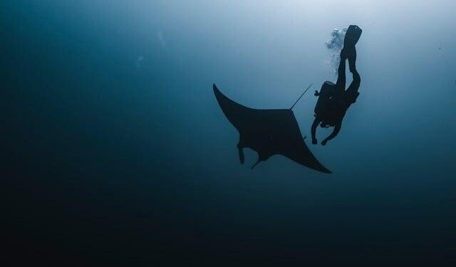 Sparkle Set to Shine: Major Expansion Across the Americas with Exciting Manta-Bolivia Corridor Initiative!