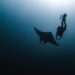 Sparkle Set to Shine: Major Expansion Across the Americas with Exciting Manta-Bolivia Corridor Initiative!