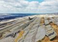 Arkansas Sparks a Green Revolution with Pioneering Forest Restoration Projects!