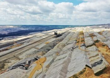 Arkansas Sparks a Green Revolution with Pioneering Forest Restoration Projects!