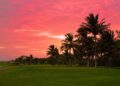 Behind the Curtain: What Are Trump and Rubio Plotting During Cuba’s Blackout?