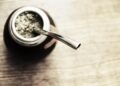 Yerba Mate: The Impact of Climate Change on South America’s Cherished Drink