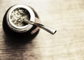 Yerba Mate: The Impact of Climate Change on South America’s Cherished Drink