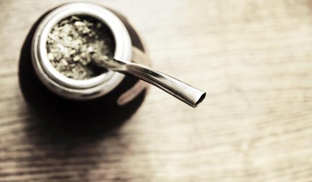 Yerba Mate: The Impact of Climate Change on South America’s Cherished Drink
