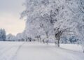 Prepare for a Winter Blast: A Powerful Snow and Ice Storm is on the Way!