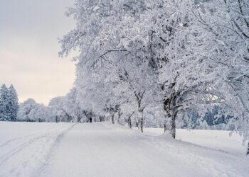 Prepare for a Winter Blast: A Powerful Snow and Ice Storm is on the Way!