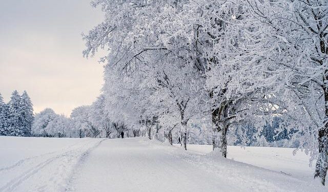 Prepare for a Winter Blast: A Powerful Snow and Ice Storm is on the Way!