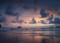 Embracing Pura Vida: Costa Rica’s Courageous Fight Against Transnational Organized Crime