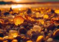 Unearthing the Mysteries of South America’s Ancient Gondwanan Forests Through Cretaceous Amber Discoveries