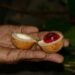 Nutmeg: The Catalyst for Grenada’s Economic Transformation