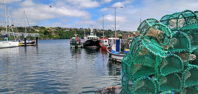Discover the Ultimate Weather Guide for Kinsale, Saint Anthony, and Montserrat!