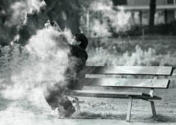 Heartbreak in Paradise: A Suburban Man’s Desperate Leap and the Enigmatic Death of His Wife