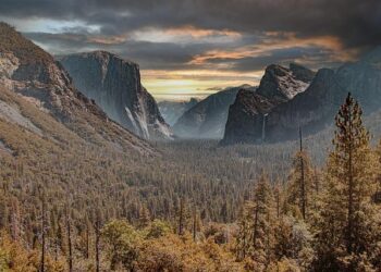 Yosemite Park Workers Gear Up for an Epic Summer Adventure!