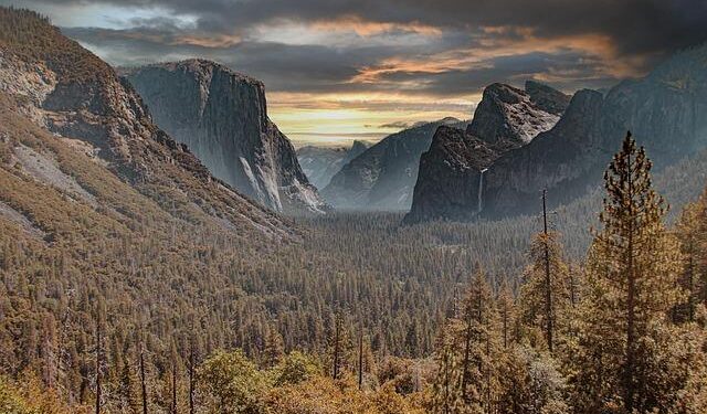 Yosemite Park Workers Gear Up for an Epic Summer Adventure!