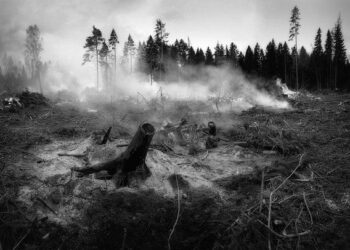 Catastrophic Wildfires Devastate Communities and Nature Across the Western U.S. and Canada