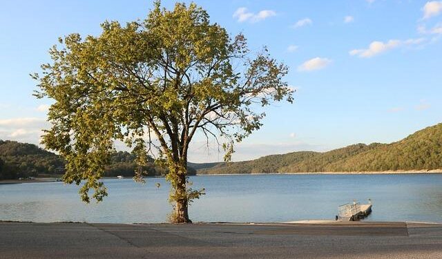 Unveiling Arkansas: What’s the Real Population Count?