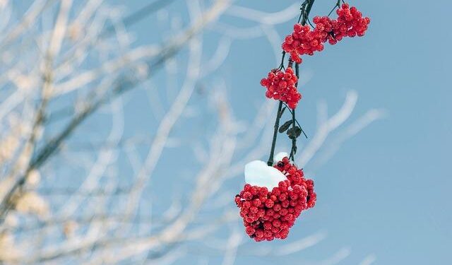 Urgent Alert: Virus Outbreak Poses Growing Danger to French Guiana Border Town