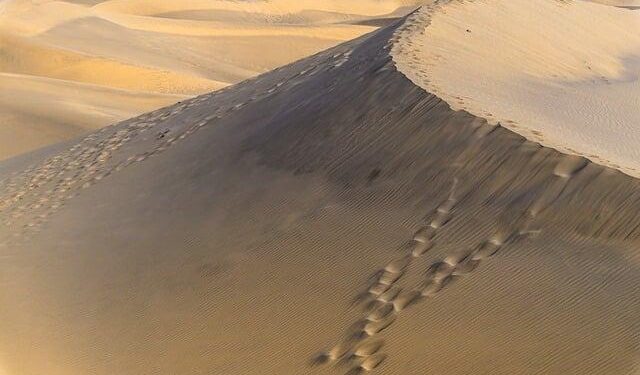 Unveiling the Secrets of a Desert Island: An Adventure of a Lifetime!