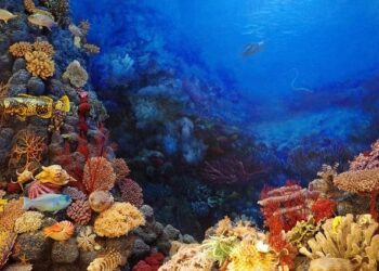Unlocking the Deep: US to Auction Seabed Mining Leases in Federal Waters!