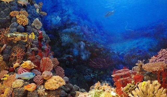 Unlocking the Deep: US to Auction Seabed Mining Leases in Federal Waters!