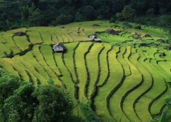 Vietnam Celebrates Mexico’s Impact on Latin America: Key Insights from Leadership
