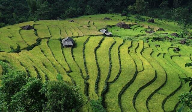Vietnam Celebrates Mexico’s Impact on Latin America: Key Insights from Leadership