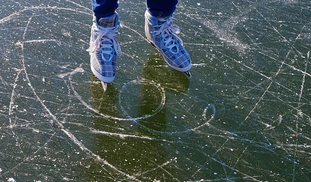 Local Figure Skaters Shine Bright, Bringing Home Medals from State Games!