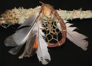 Connecting Communities: The Fight for High-Speed Internet Access in Tribal Areas
