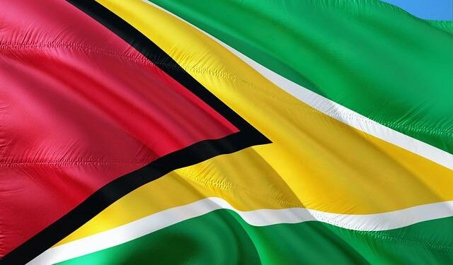 Guyana Stands Firm: Championing Its Commitment to Combat Forced Labor in U.S. Trade Hearing