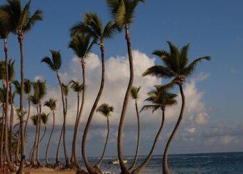 Unwind in Paradise: Experience the Allure of a New Adults-Only Hotel in the Caribbean!