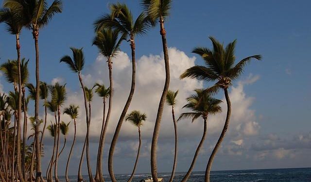Unwind in Paradise: Experience the Allure of a New Adults-Only Hotel in the Caribbean!