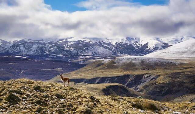 Is the Summit of the Americas Facing Its Final Chapter?