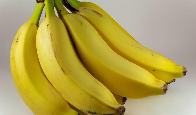 Martinique’s Agroforestry Revolution: Transforming Banana Cultivation for a Sustainable Future!