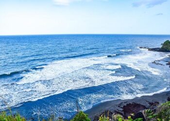 St. Vincent and the Grenadines: The Caribbean’s Next Big Success Story!